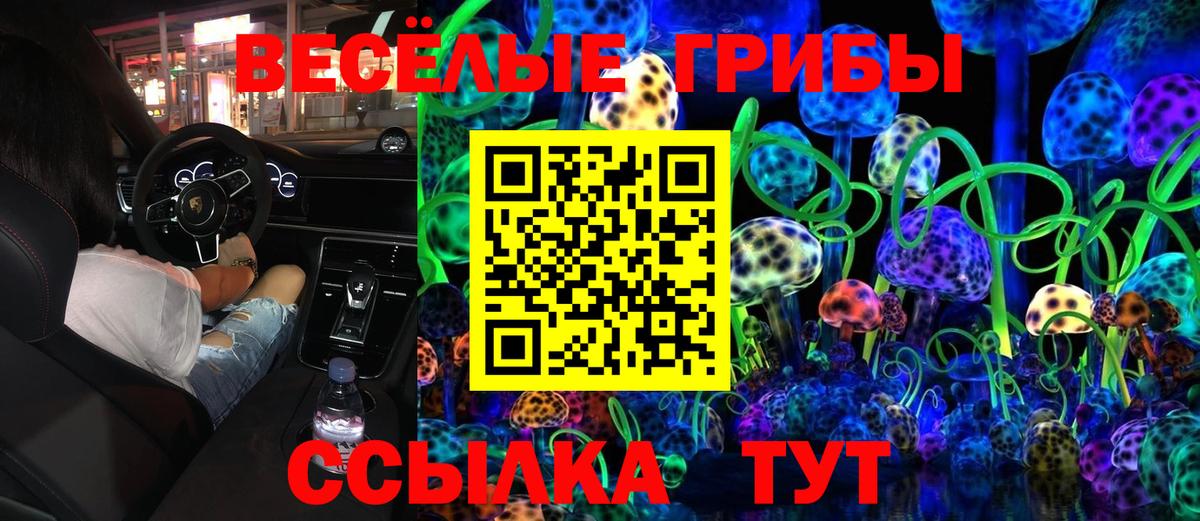 Псилоцибиновые грибы MAGIC MUSHROOMS Кудымкар