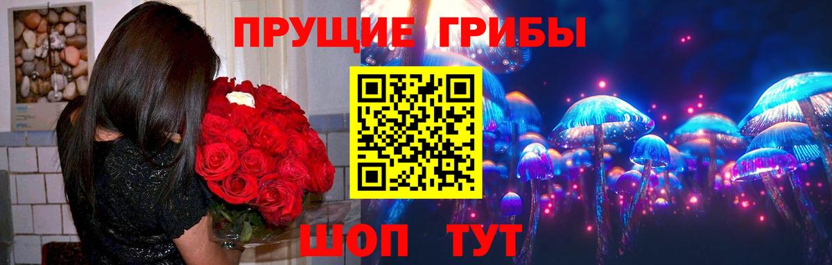 Псилоцибиновые грибы прущие грибы  Вход с VPN  Кудымкар 